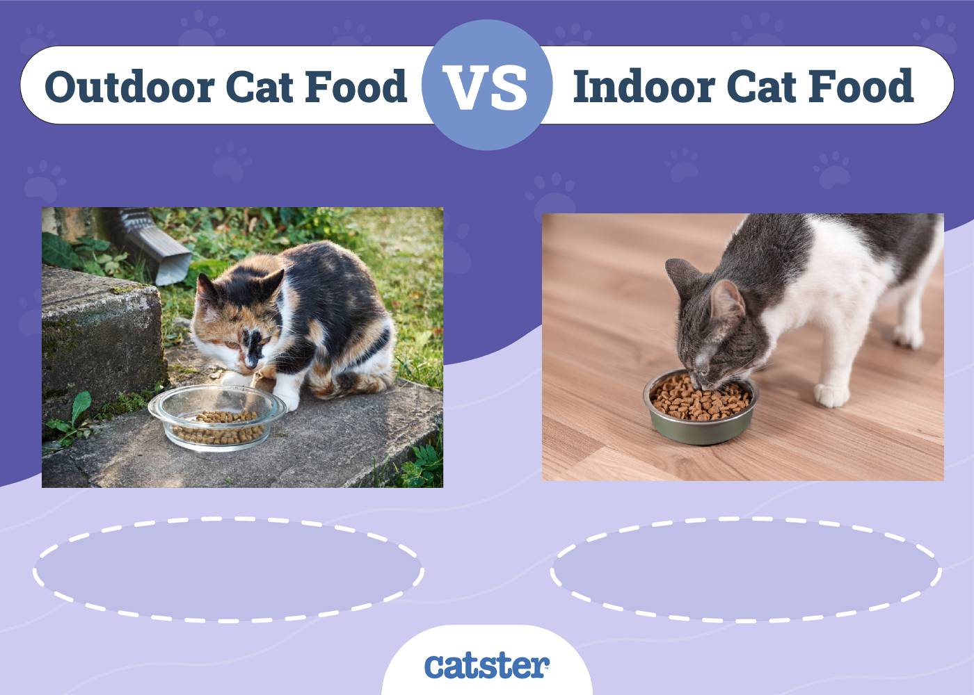 Indoor vs. Outdoor Cat Food VetReviewed Nutritional Differences Catster