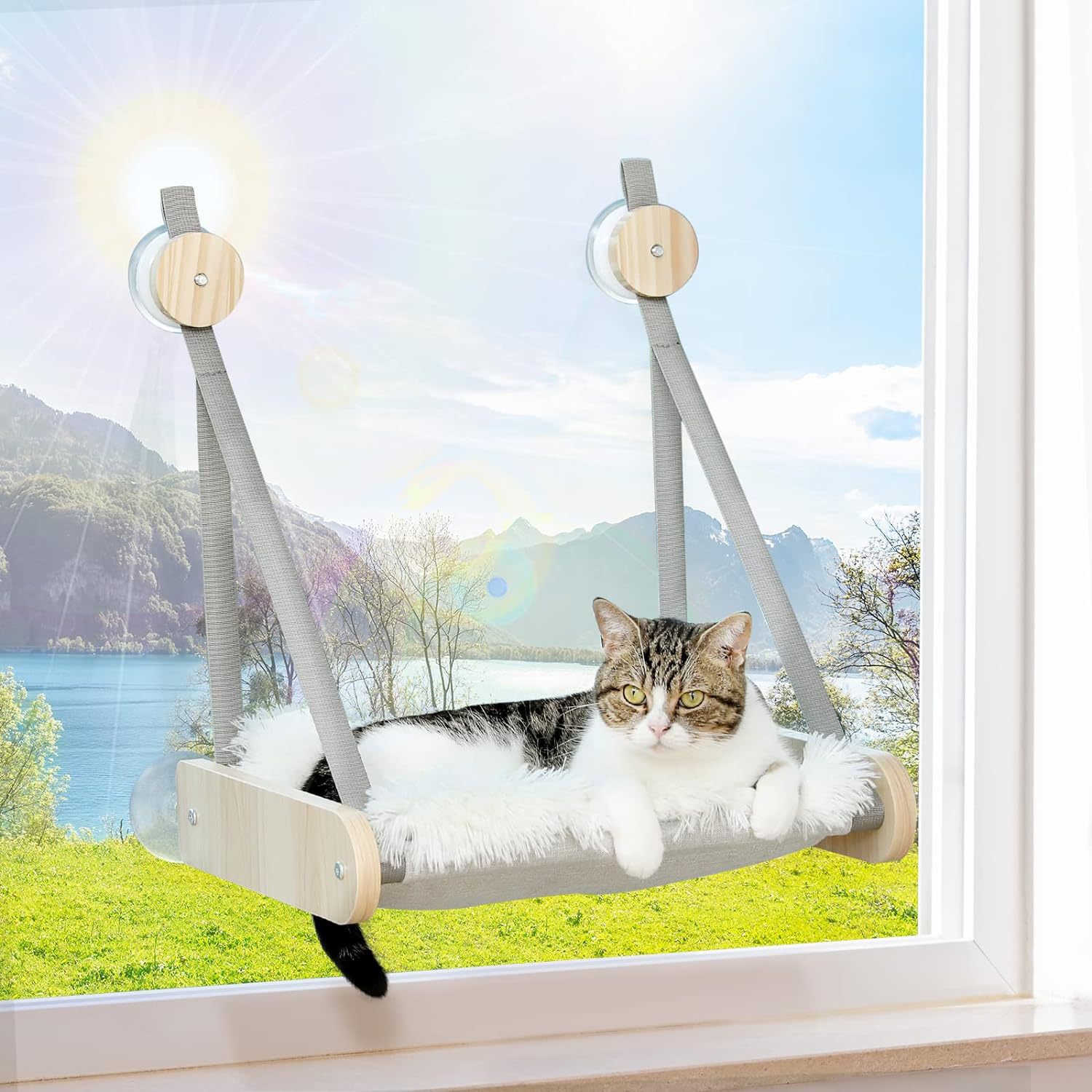 PEQULTI Cat Window Perch, Cat Window Hammock with Screwed Sustion Cups