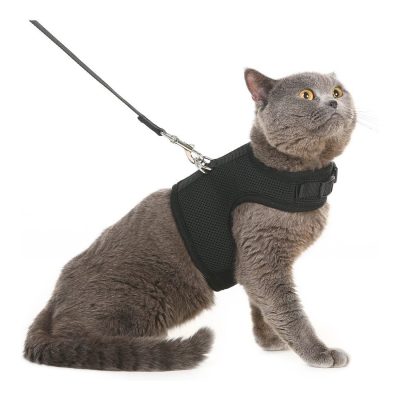 PUPTECK Soft Mesh Cat Vest Harness