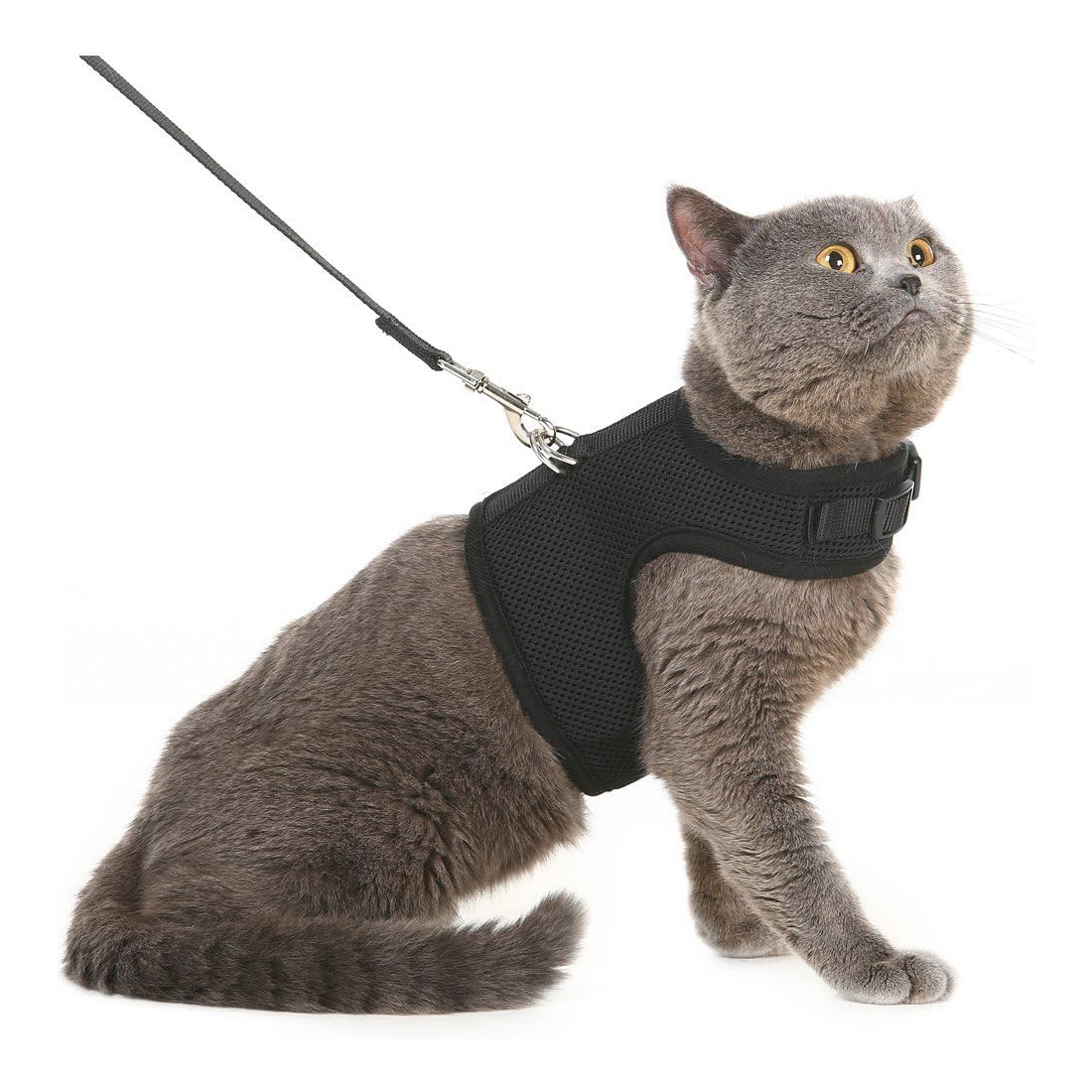 PUPTECK Soft Mesh Cat Vest Harness and Leash Set