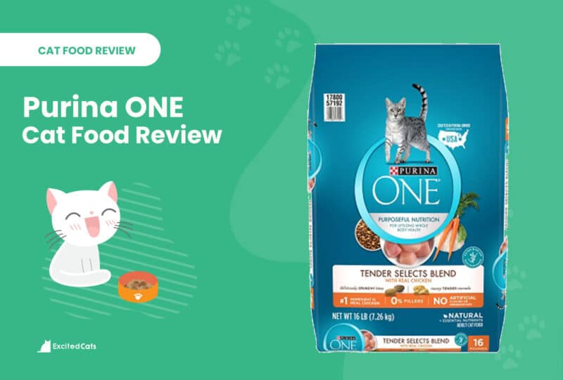 PURINA ONE HEADER