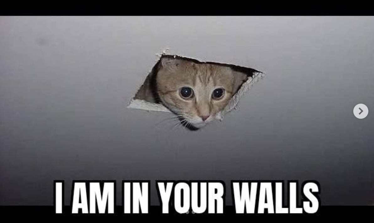 Peek-a-Boo