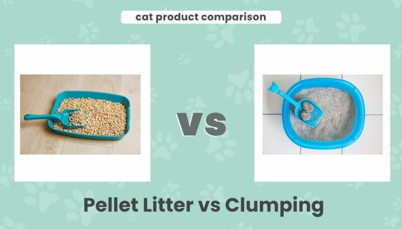 Pellet litter vs clumping