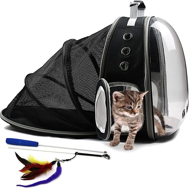 Cat Bags For Men 2026.8 Best Bubble Backpacks for Cats in 2026: Reviews & Top Picks - Catster