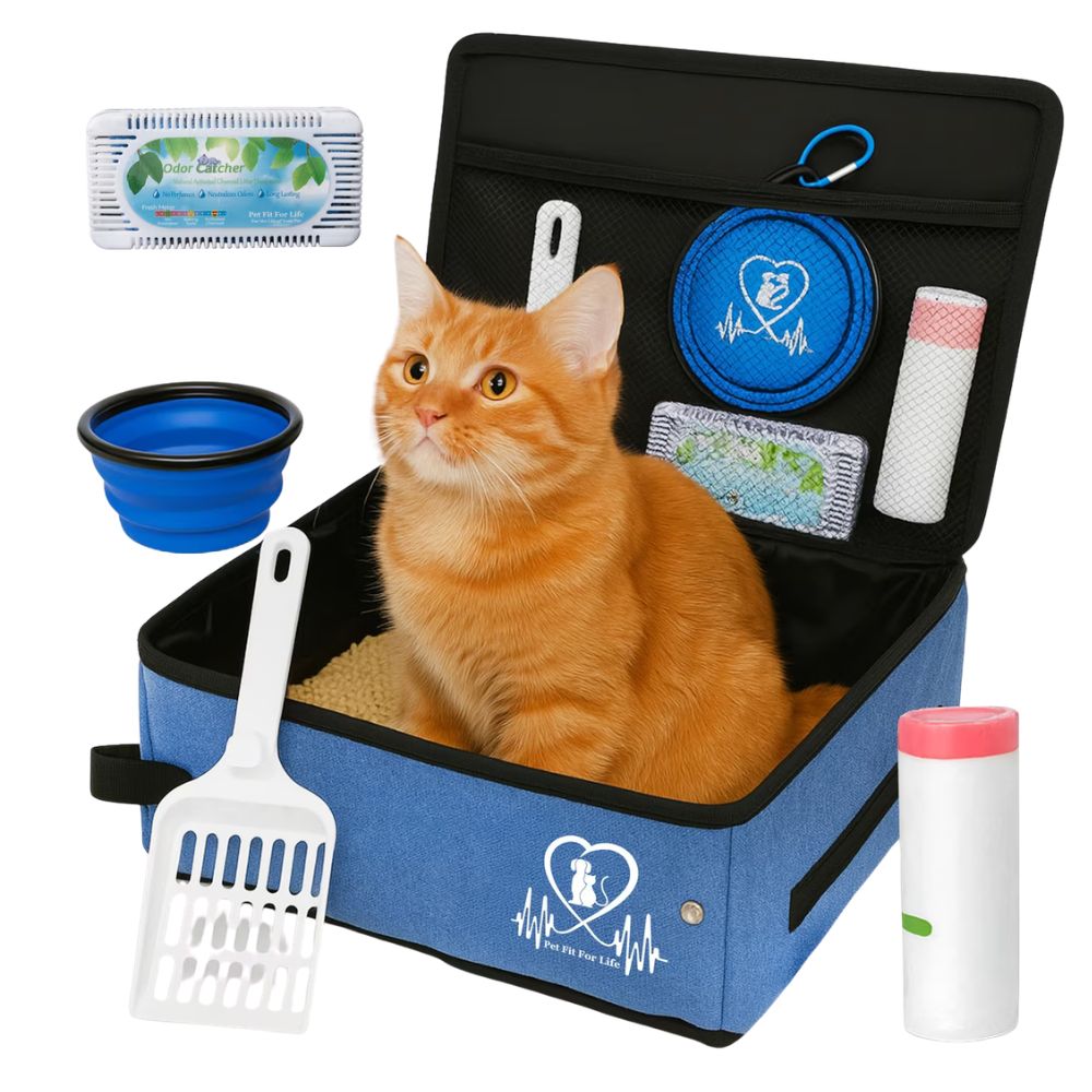 9 Best Travel Litter Boxes in 2026 - Reviews & Top Picks - Catster