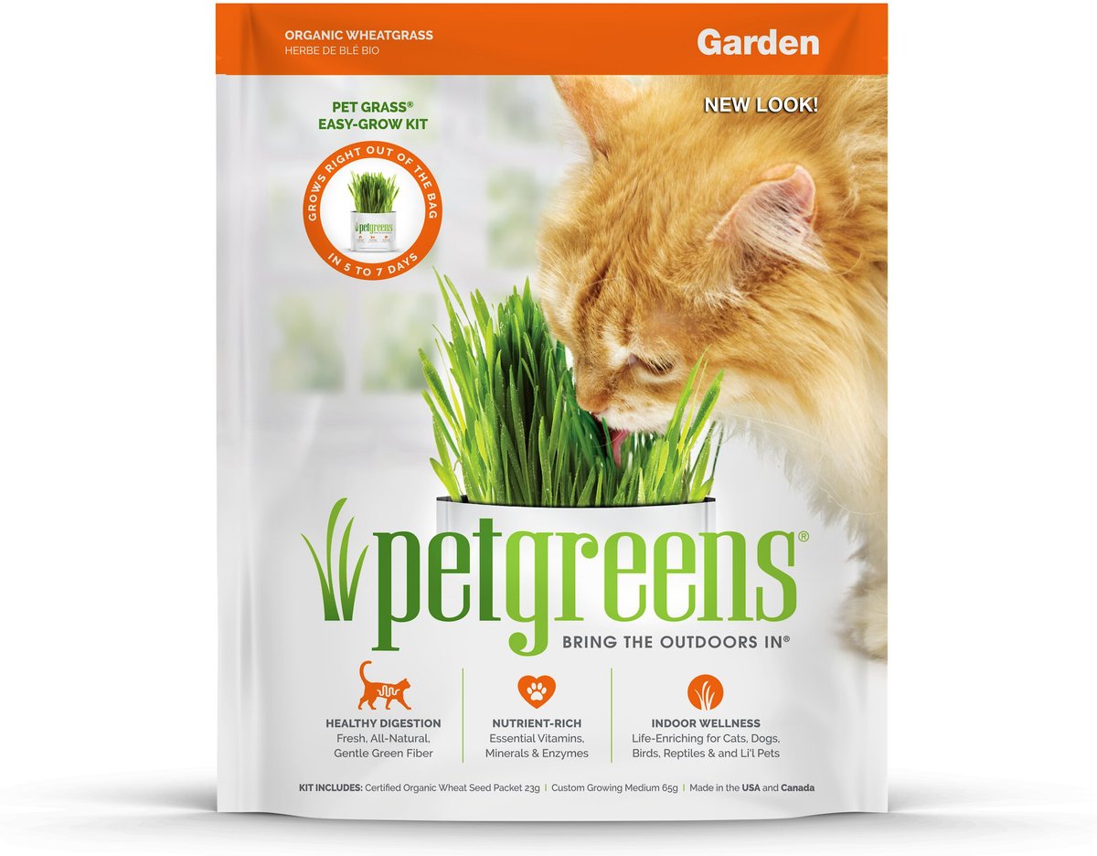 Pet Greens Pet Grass