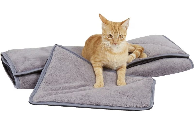 9 Best Outdoor Cat Beds in 2024 Reviews & Top Picks Catster