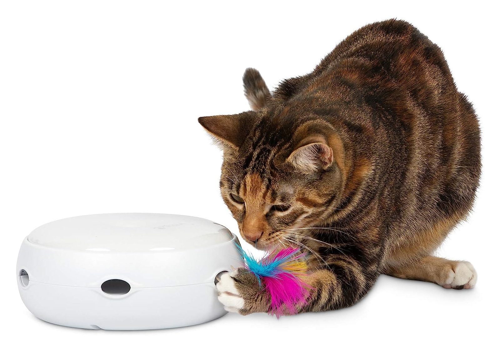 PetFusion Ambush Interactive Cat Toys for Indoor Cats