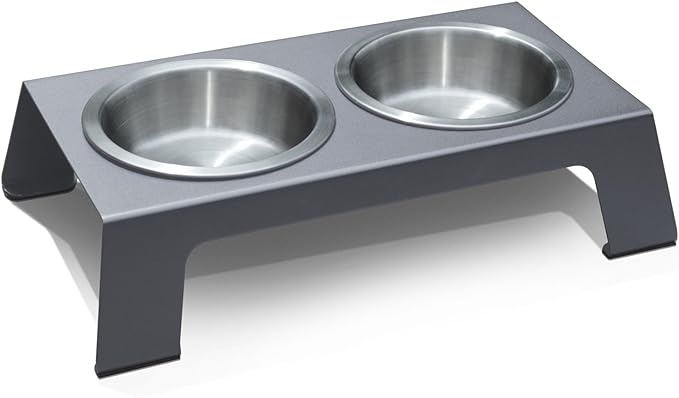 PetFusion Elevated Dog Bowls