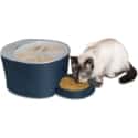 PetSafe 6-Meal Automatic Cat Feeder