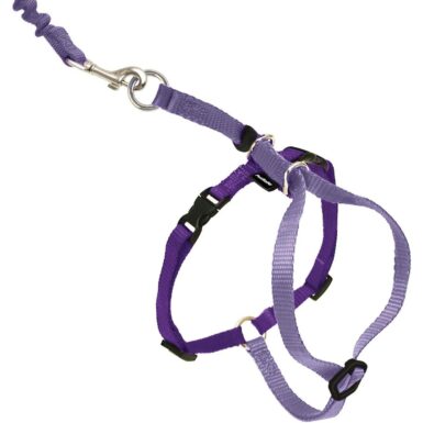 PetSafe Come With Me Kitty Nylon Cat Harness & Bungee Leash