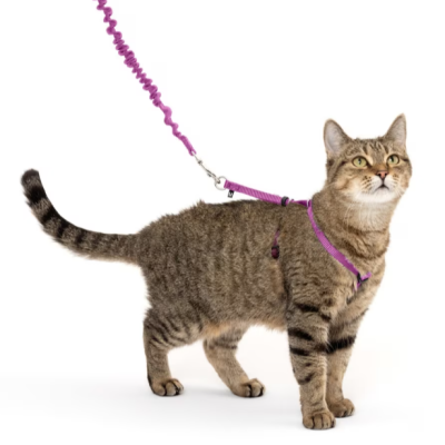 PetSafe Come With Me Kitty Nylon Cat Harness & Bungee Leash