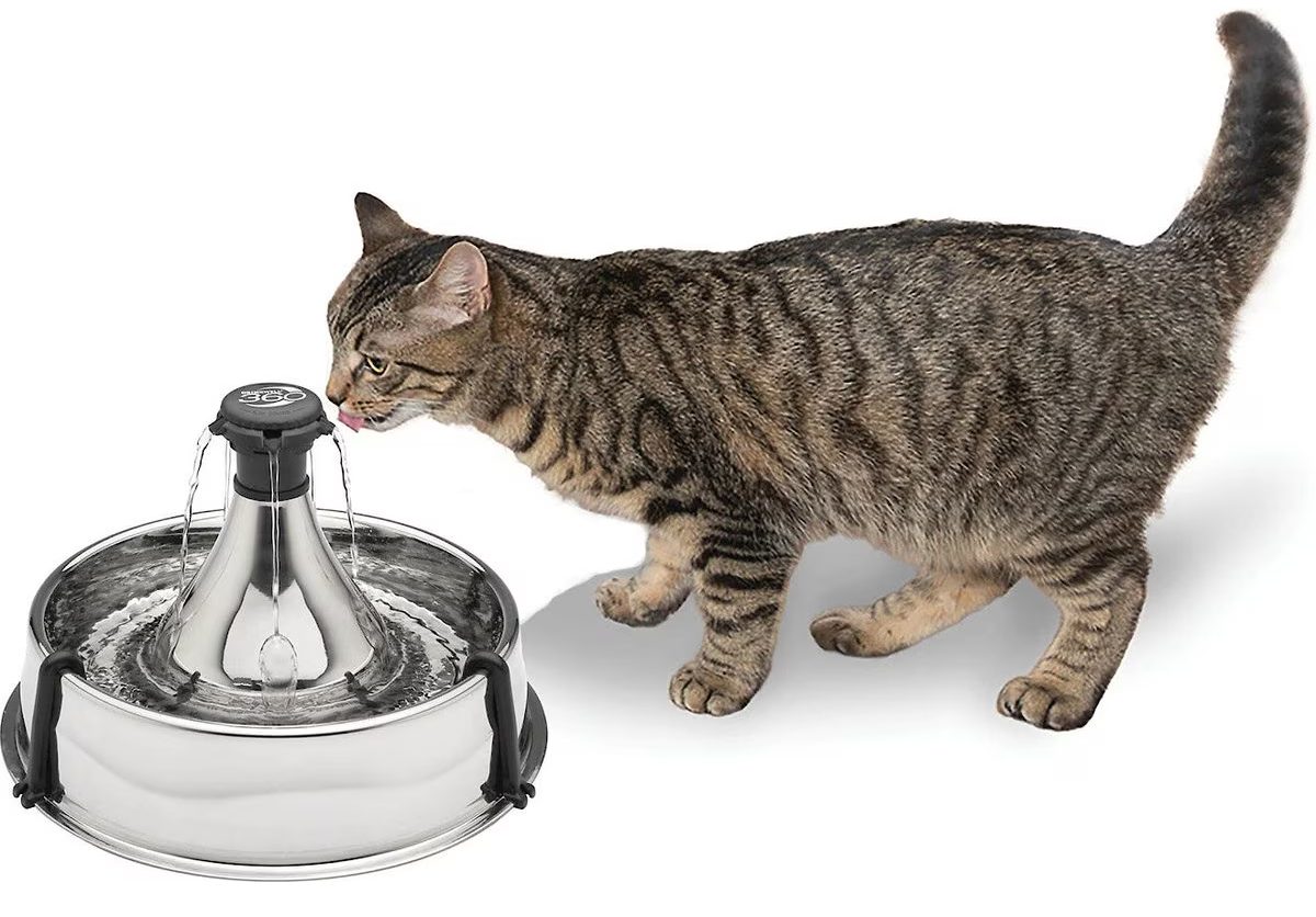 PetSafe Drinkwell 360 Stainless Steel Cat & Dog Water Fountain