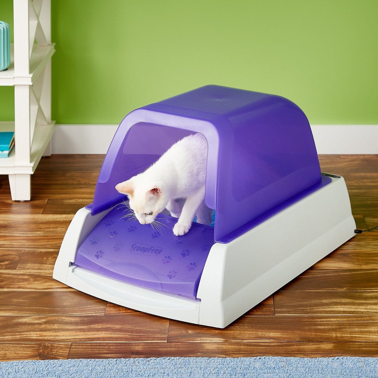 How to Keep Cat Litter from Tracking: 10 Steps (with Pictures)