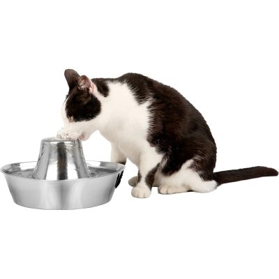 PetSafe Seaside Stainless Steel Cat Water Fountain