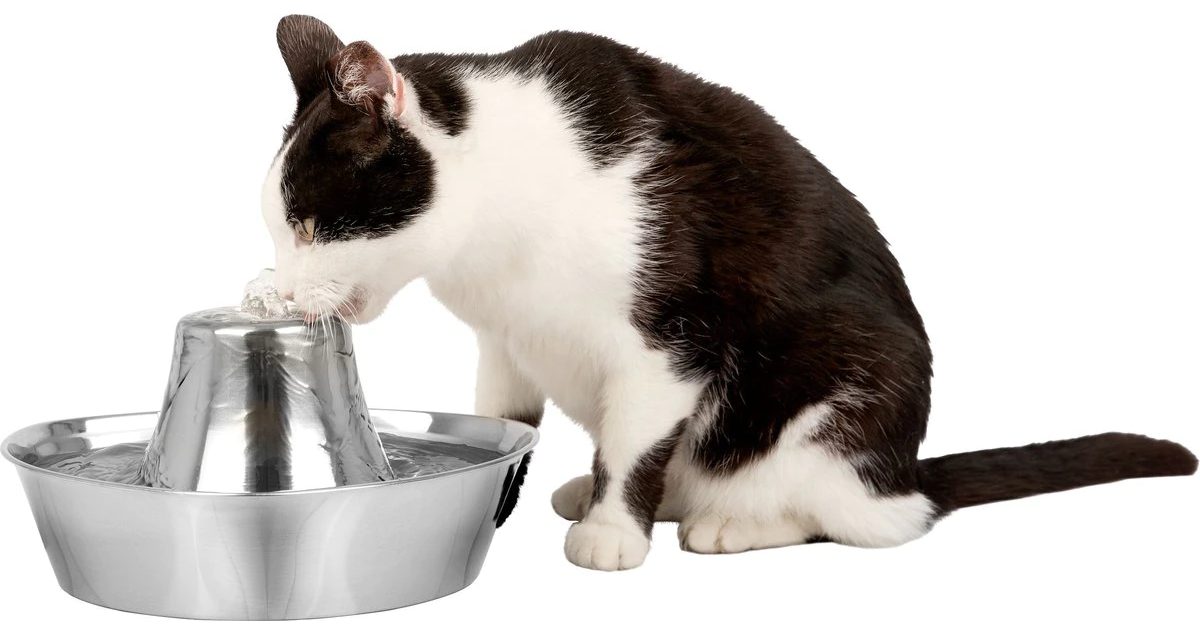 PetSafe Seaside Stainless Steel Cat Water Fountain