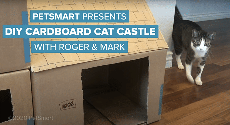 PetSmart_Presents_DIY_Cardboard_Cat_Castle