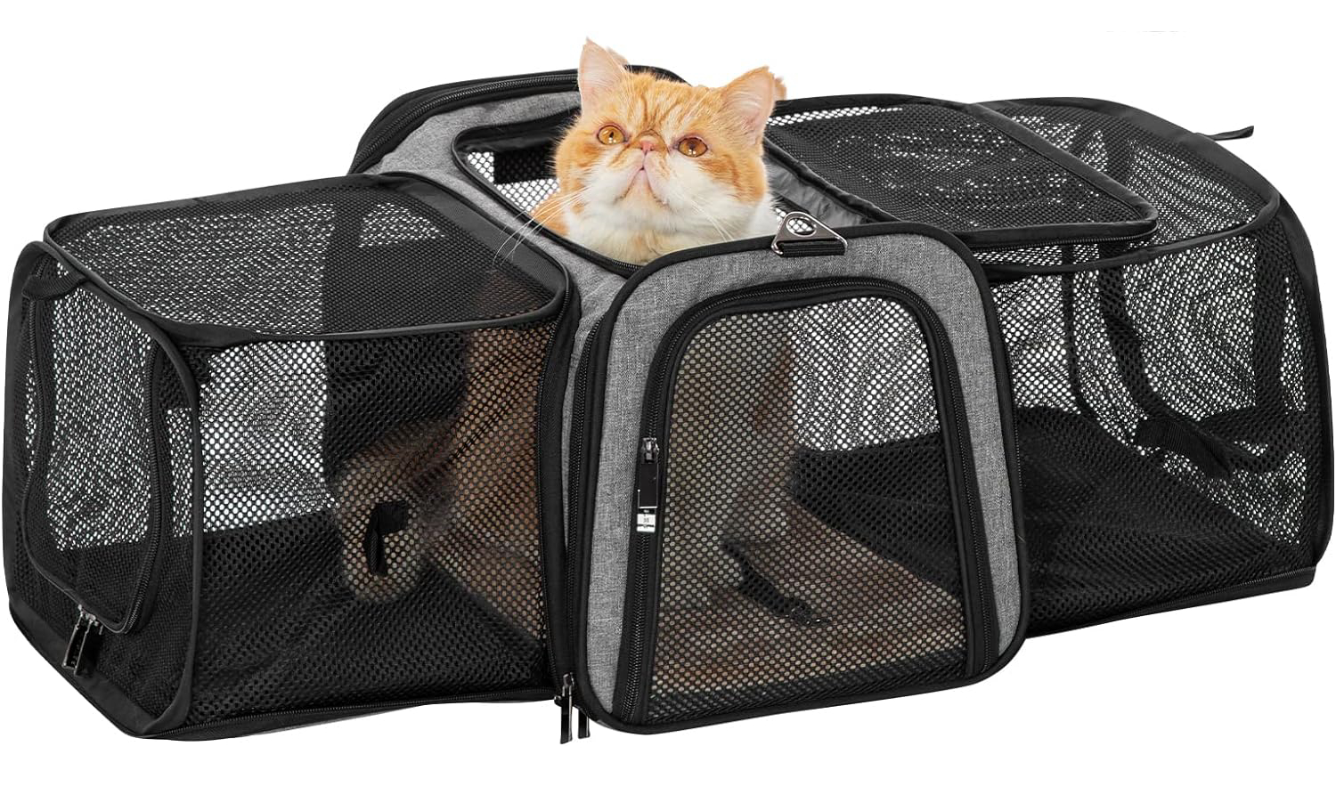 Petsfit 17_ x 11_ x 11_ Expandable Pet Carrier Airline Approved for Travel, Maximum Pet Weight 15 Pounds
