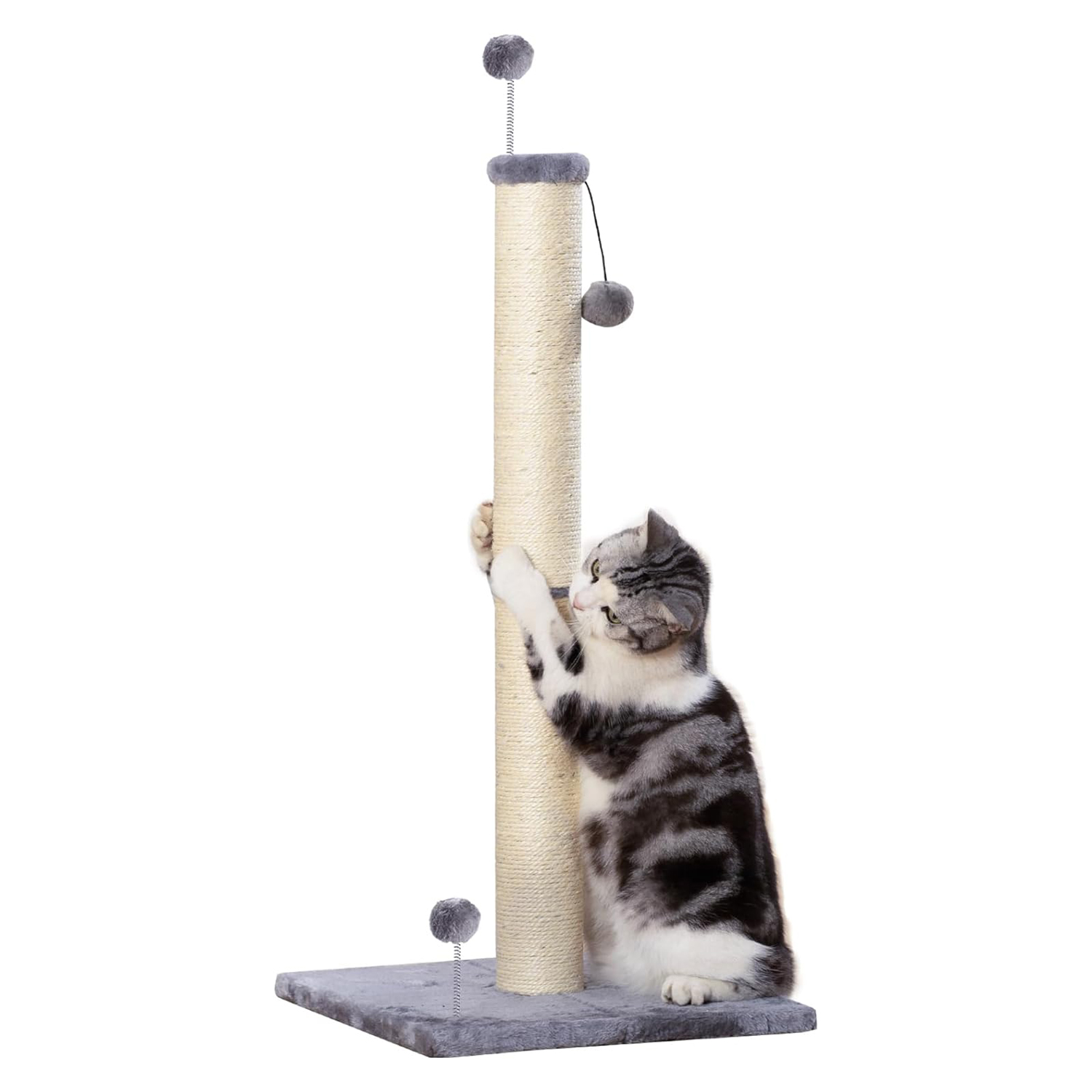 Poils bebe Tall Cat Scratching Post