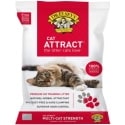 Dr. Elsey’s Precious Cat Attract Training Litter