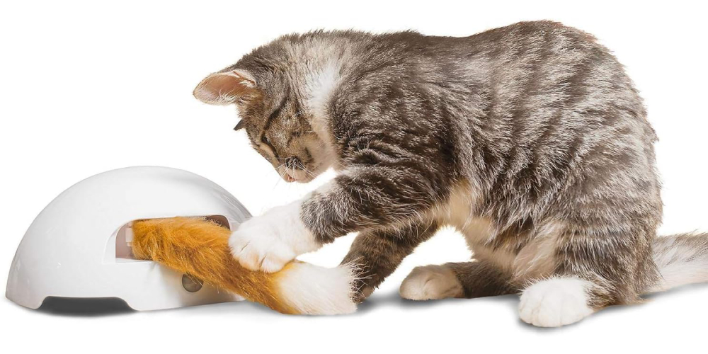 Premier pet fox den automatic cat toy outlet