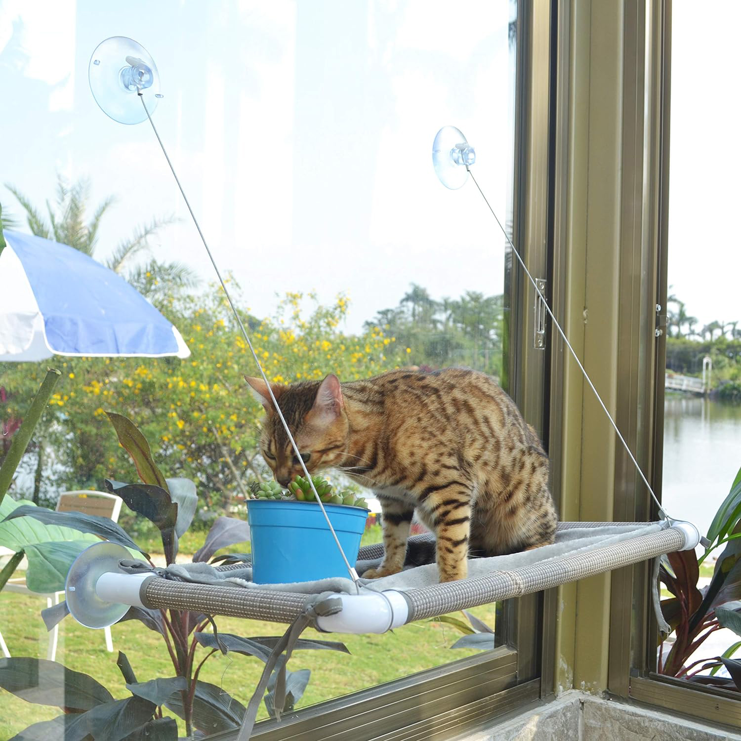 Pupagree Mess-Free Cat Window Perch