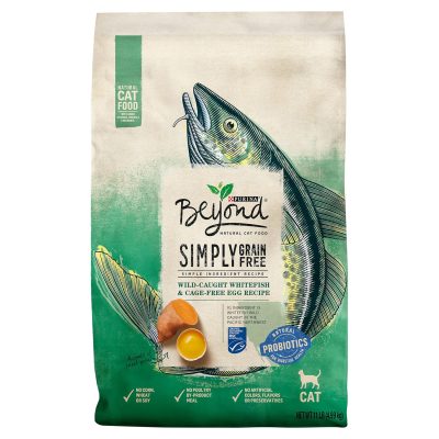 Purina Beyond  Salmon Dry Cat Food