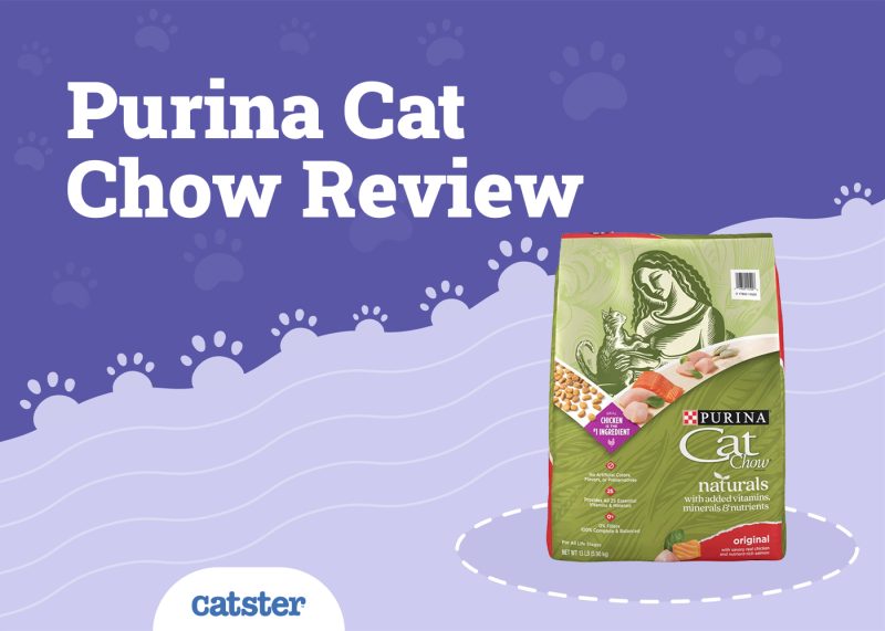 Purina Cat Chow Cat Food Review