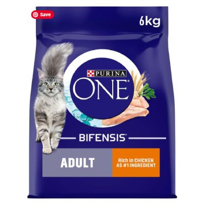 Purina ONE Adult Cat Food