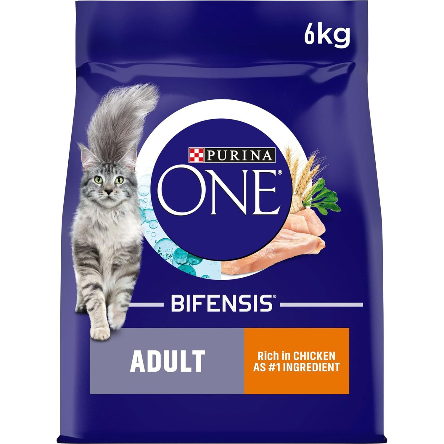 Purina ONE Adult Dry Cat Food Rich in Chicken