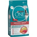 Purina One Dry Cat Food