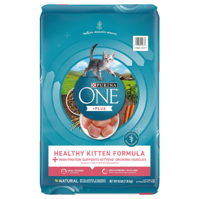 Purina ONE Healthy Kitten Food