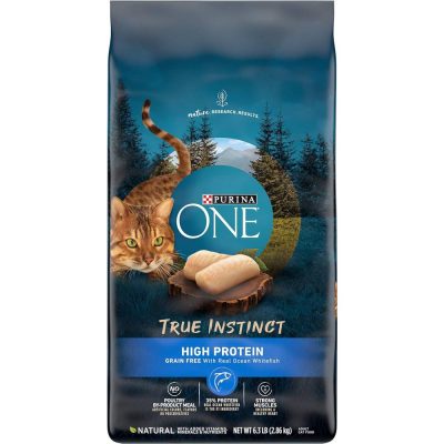 Purina ONE High Protein Adult Cat Food