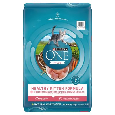 Purina ONE Healthy Kitten Dry Cat Food
