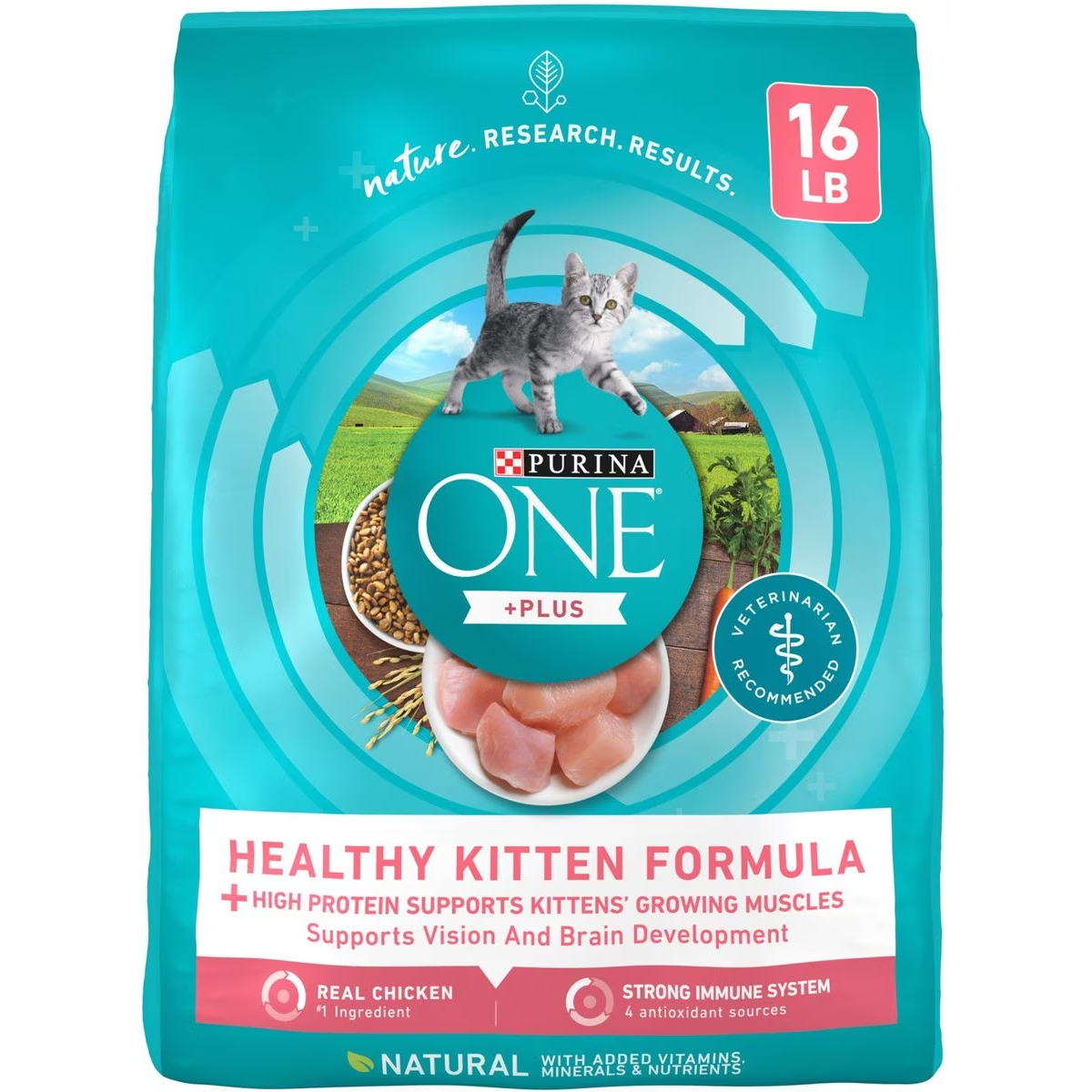 Purina ONE +Plus Healthy Kitten Formula Natural Dry Cat Food New