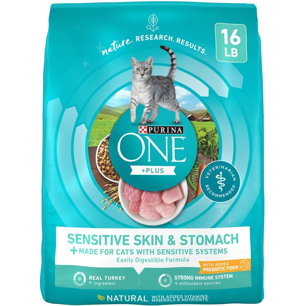 Purina ONE Sensitive Skin & Stomach Dry Cat Food