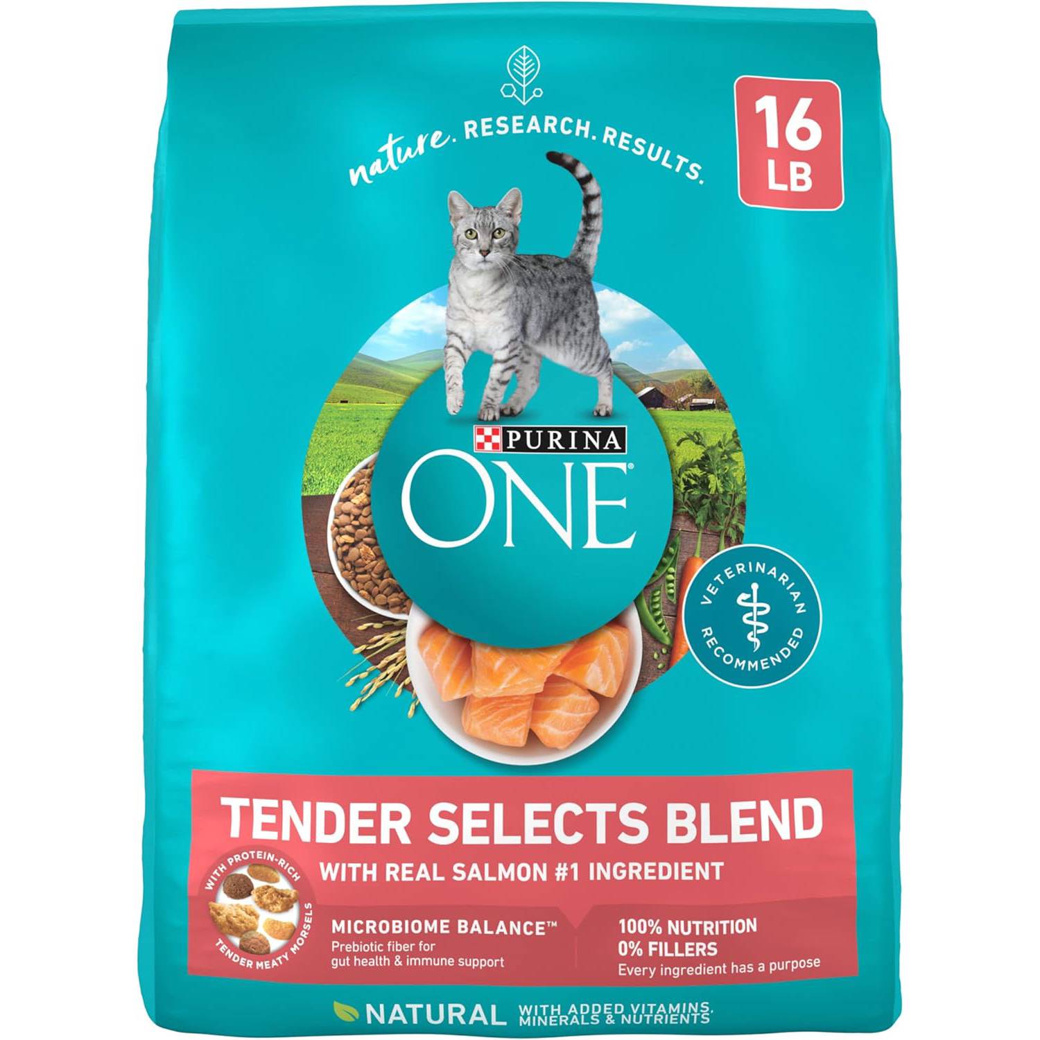 Purina ONE Tender Selects Blend Dry Cat Food