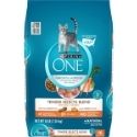 Purina ONE Tender Selects Blend with Real Chicken Dry Cat Food