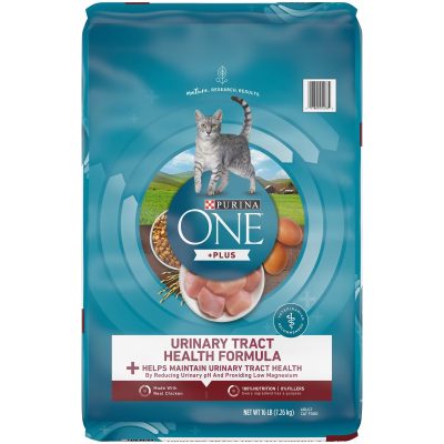 Purina ONE Urinary Tract Health Dry Cat Food