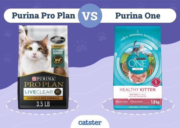 Compare Purina One To Purina Pro Plan Purina Pro Plan vs Purina One Cat Food: 2025 Comparison - Catster