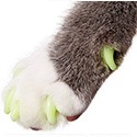 Purrdy Paws Soft Cat Nail Caps