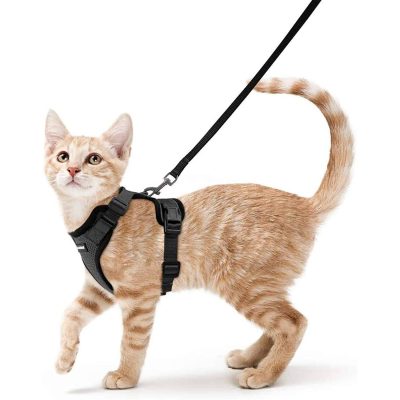 Rabbitgoo Cat Harness & Leash for Walking