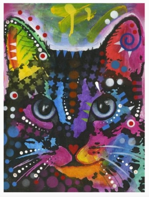 Rainbow Colored Cat Poster