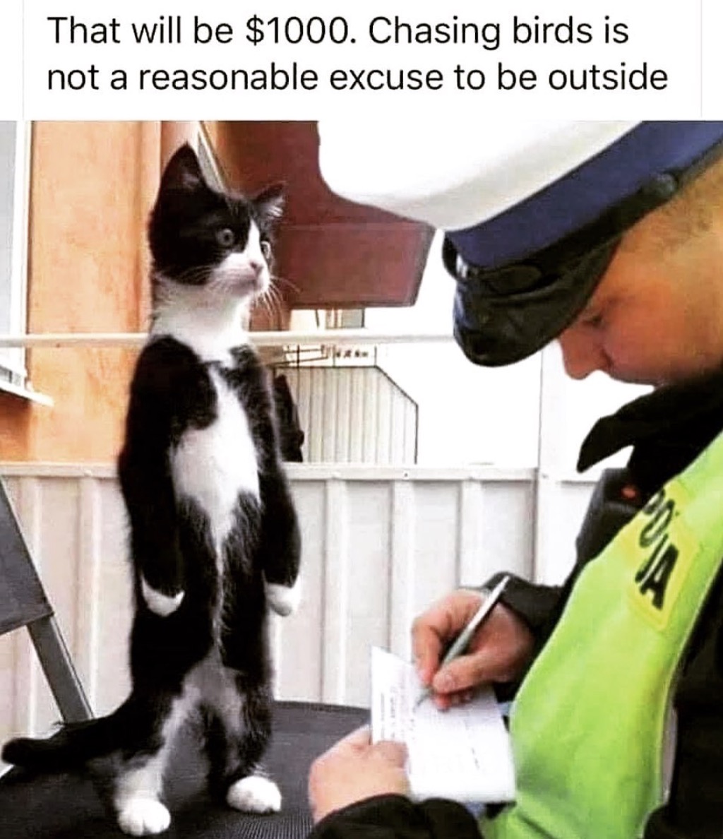 Raise Your Hand