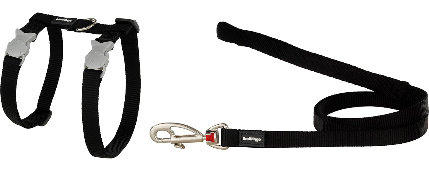 Red Dingo Classic Cat Harness and Lead Combo