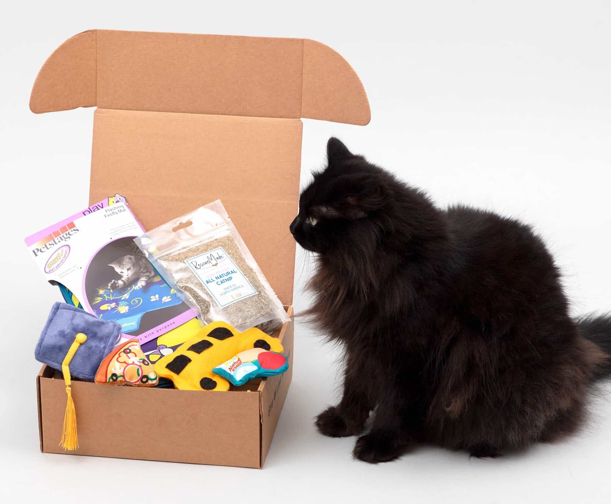 9 Best Cat Subscription Boxes in 2024 Reviews & Top Picks Catster
