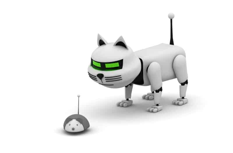 Robot cat