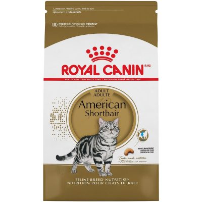 Royal Canin American Shorthair Cat Food