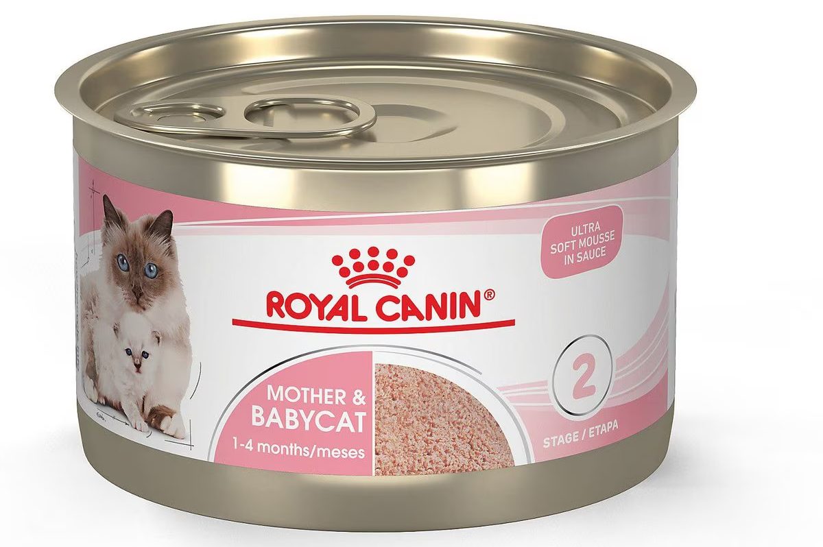 Royal Canin Mother and Babycat Wet Food