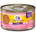 Wellness Complete Health Kitten Formula